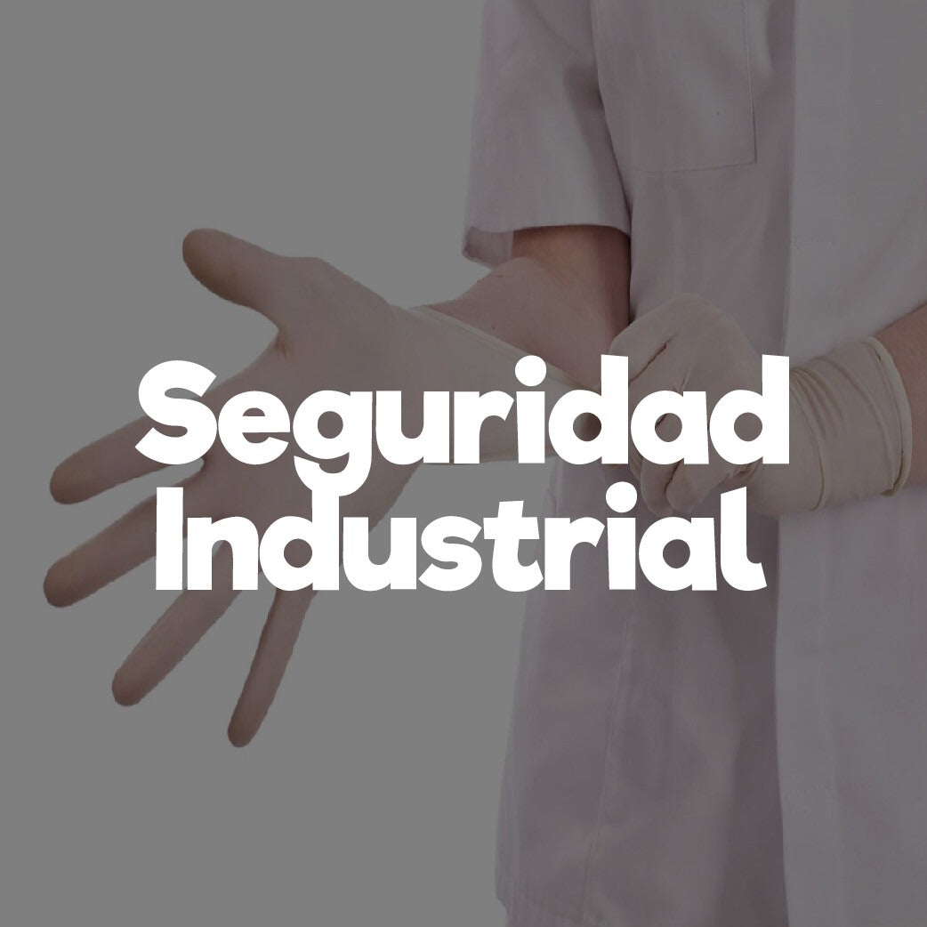 Seguridad Industrial